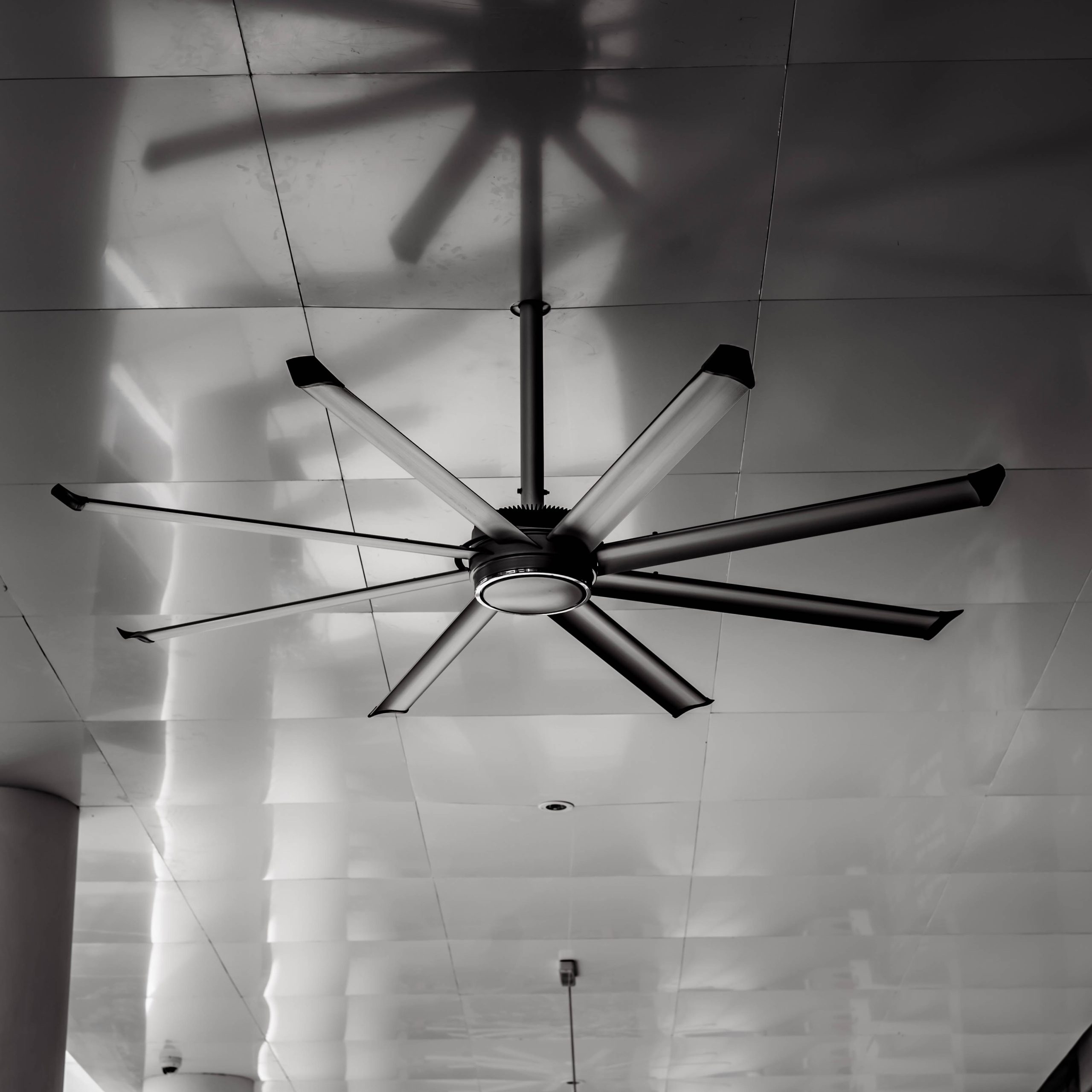 ceiling fan